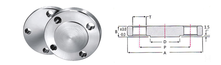 Blind Flanges Blind Flanges Forged Fittings