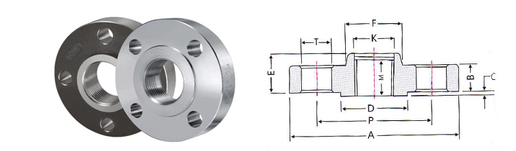 Stainless Steel Screwed Flanges