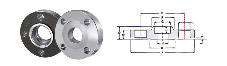 Socket Weld Flanges