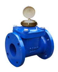 Woltman Type Water Meter